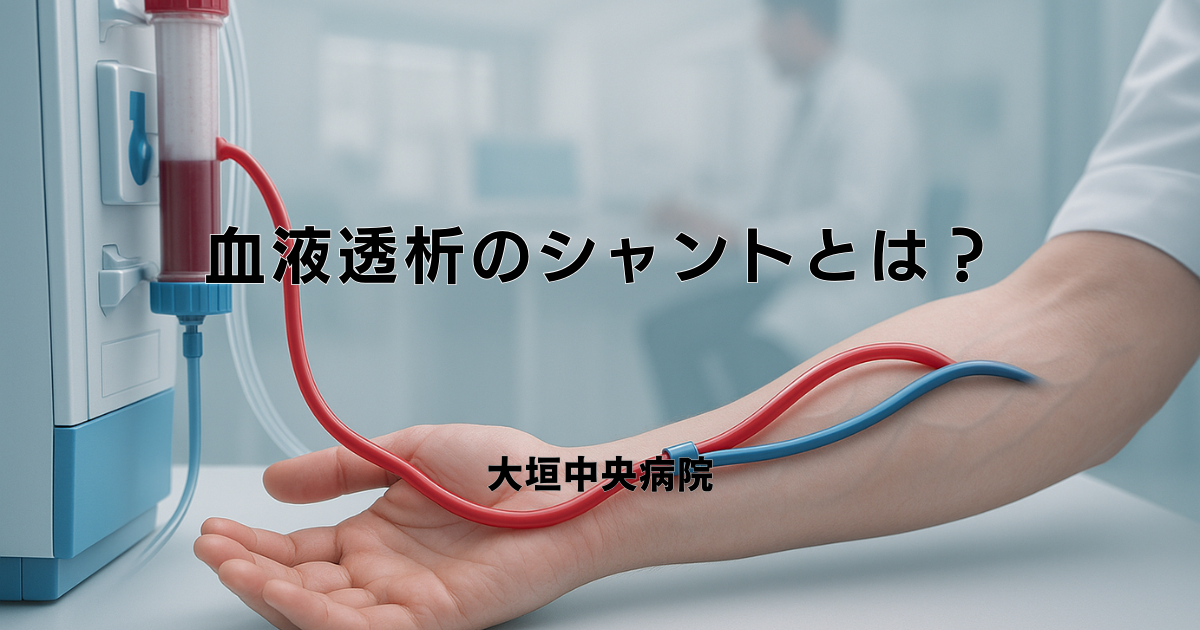 血液透析のシャントとは？種類・作り方・管理方法をやさしく解説