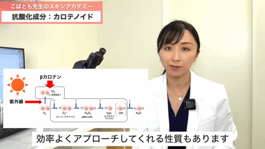 カロテノイドは紫外線によってまず作られる一重項酸素と呼ばれる活性酸素に効率よくアプローチしてくれるという性質もあります。