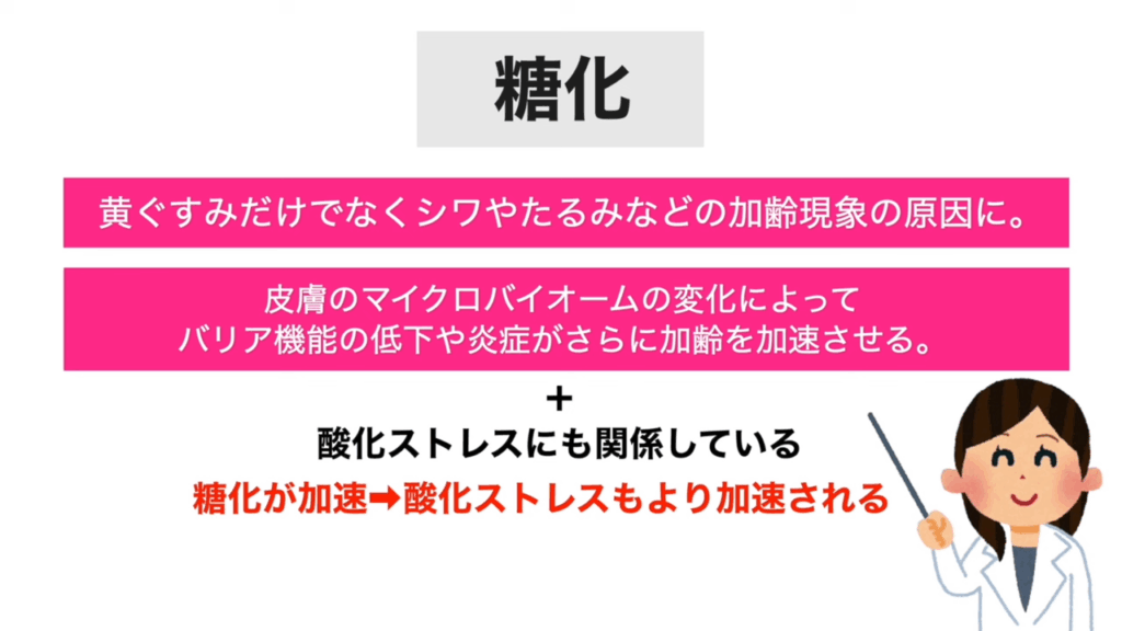 糖化は、黄ぐすみだけでなくシワやたるみなどの加齢現象の原因に。皮膚のマイクロバイオームの変化によってバリア機能の低下や炎症がさらに加齢を加速させる。