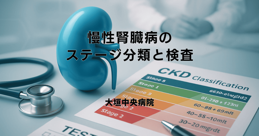 腎臓病の診断基準とは？CKD（慢性腎臓病）のステージ分類と検査