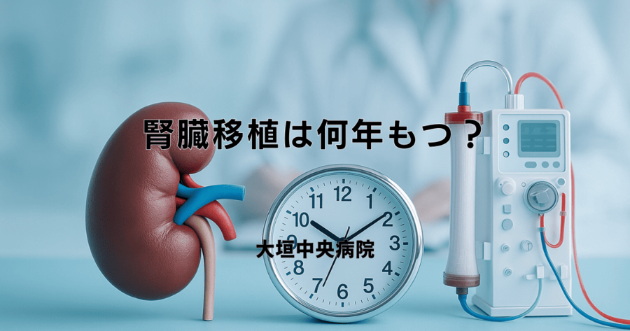 腎臓移植は何年もつ？生着率・寿命と透析との比較について