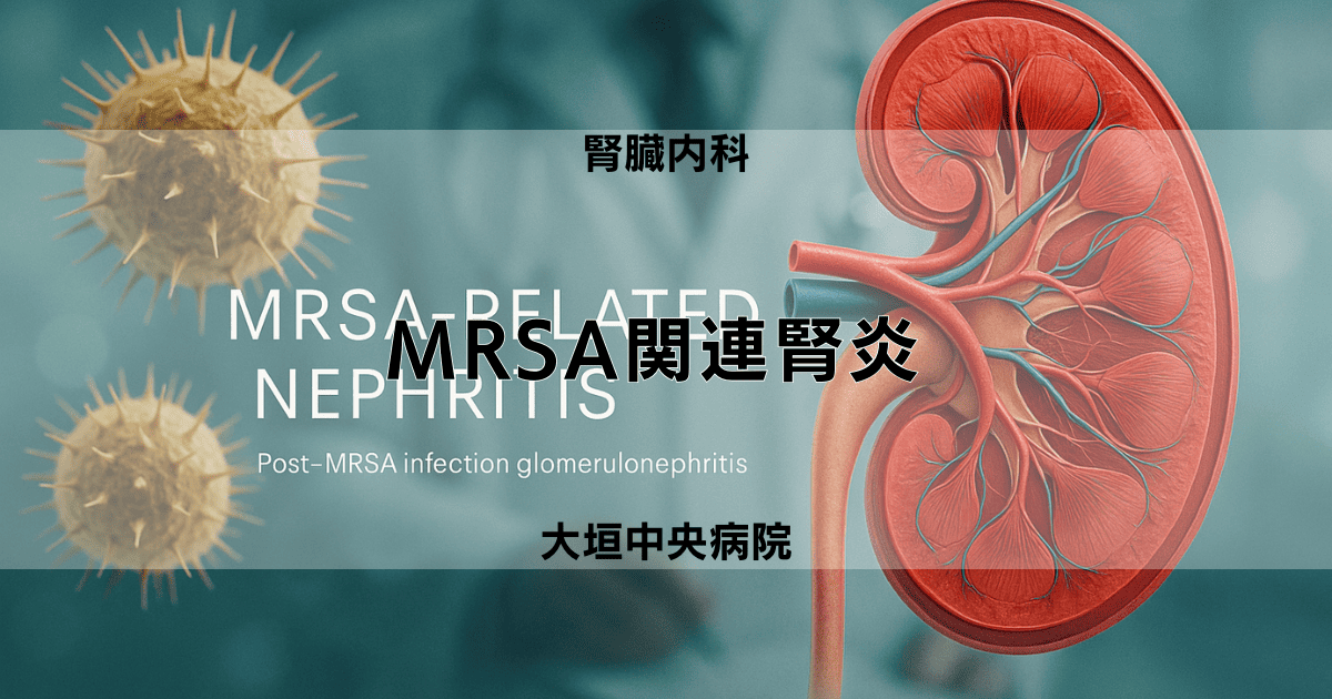 MRSA関連腎炎