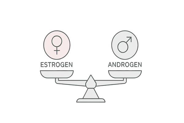 女性ホルモン(エストロゲン)と男性ホルモン(アンドロゲン)のバランス