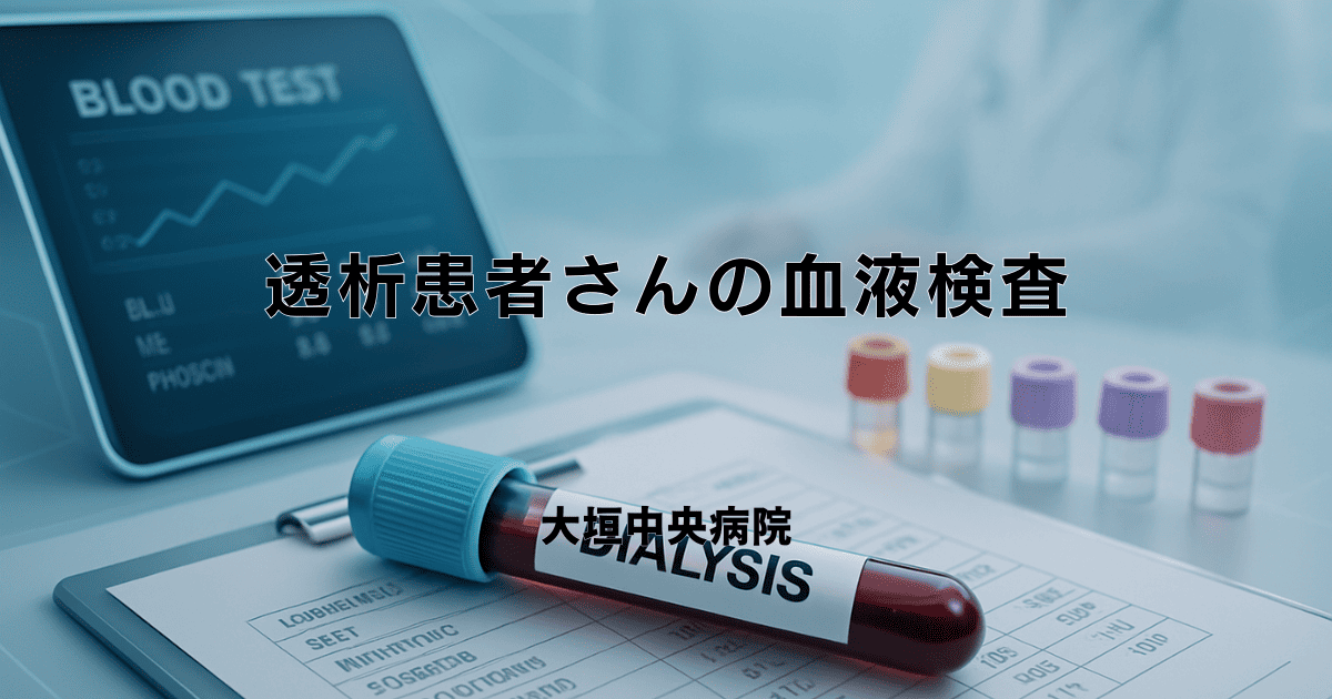 透析患者さんの血液検査｜主な項目と基準値の目安、結果の見方