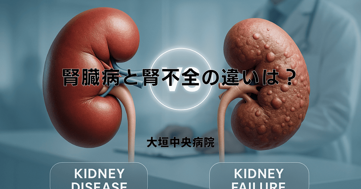 腎臓病と腎不全の違いは？症状・進行度・治療法を比較解説