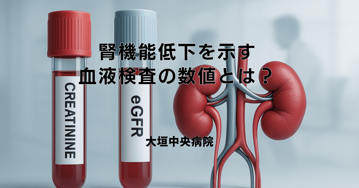 腎機能低下を示す血液検査の数値とは？クレアチニン・eGFRの見方