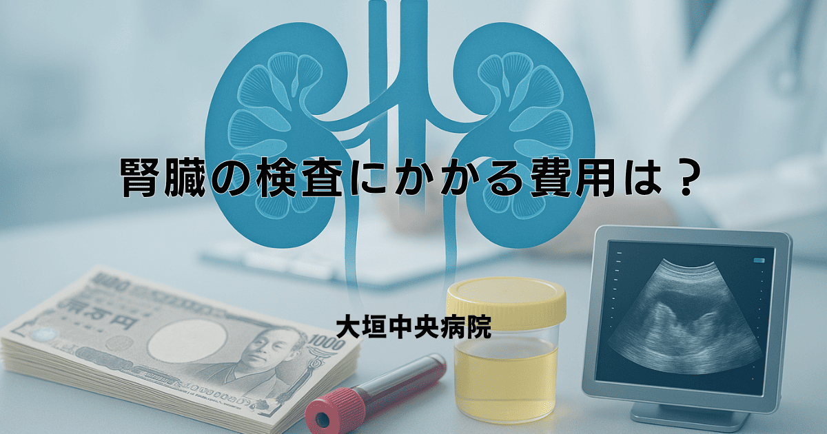 腎臓の検査にかかる費用は？主な検査（血液・尿・画像）の料金目安