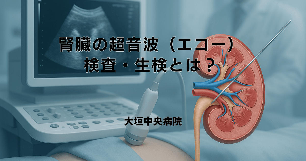 腎臓の超音波（エコー）検査・生検とは？わかることや検査の流れ