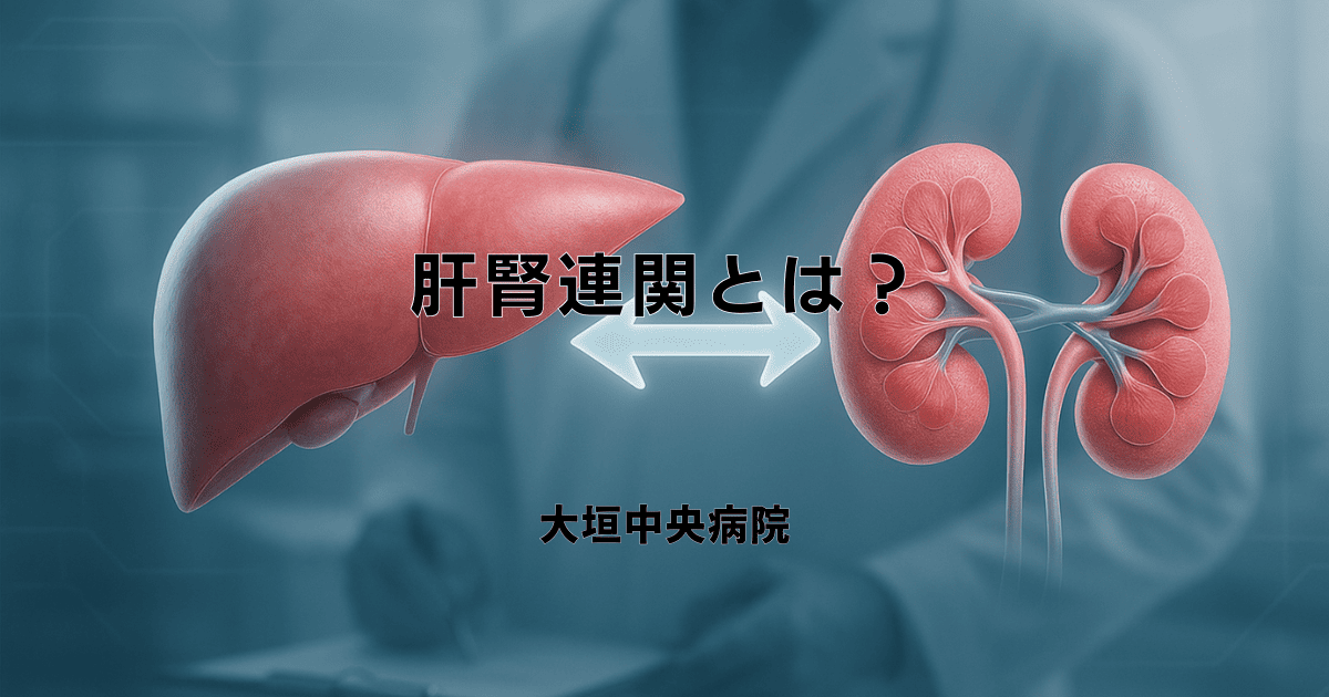 肝腎連関とは？腎臓と肝臓の密接な関係と互いへの影響