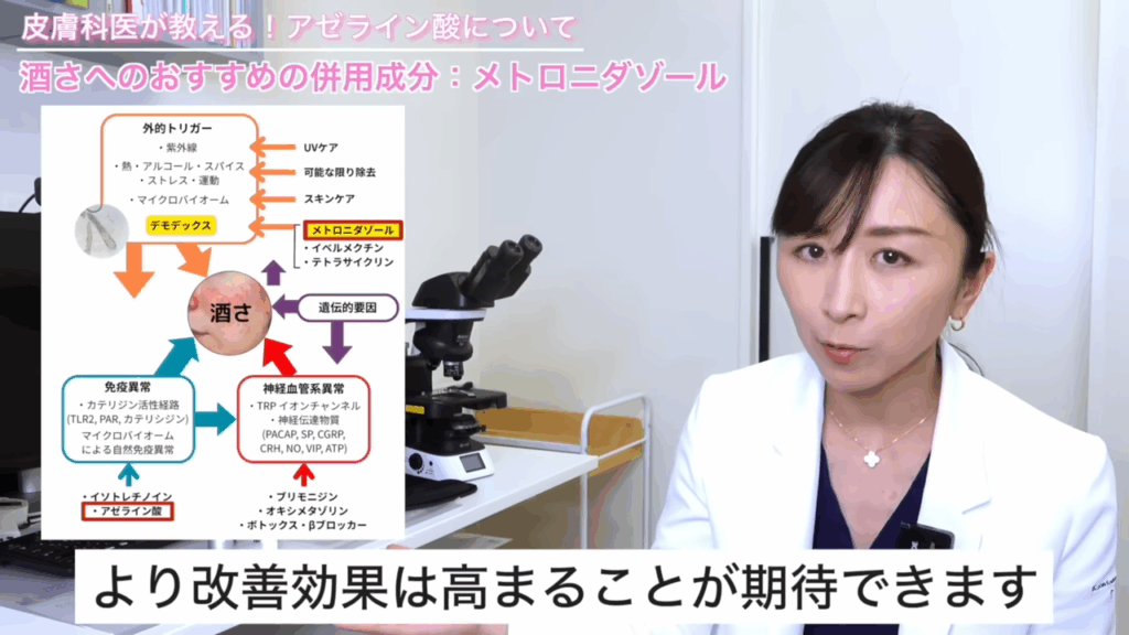 酒さの病態まとめ