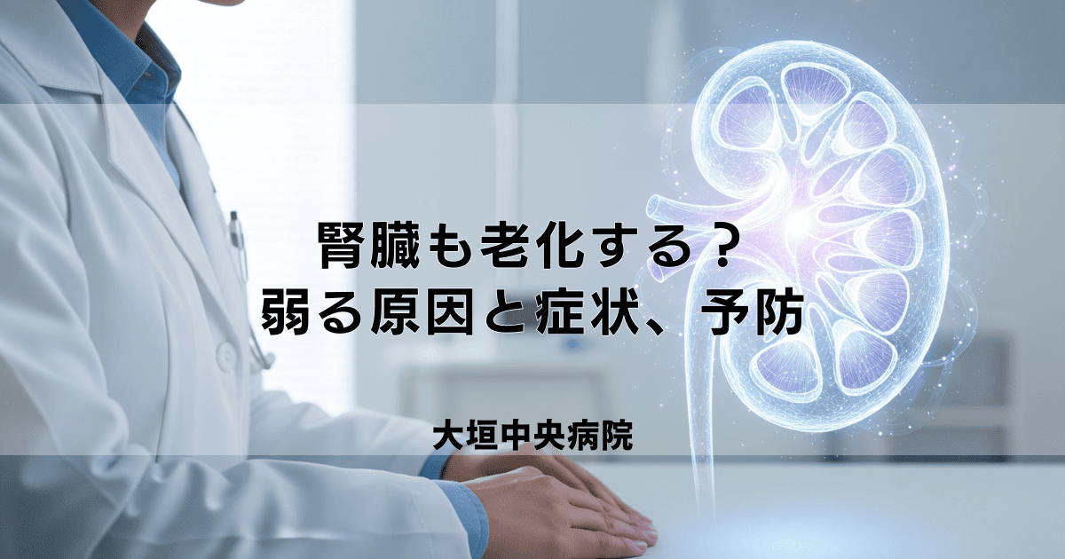 腎臓も老化する?機能が弱る原因と症状、予防のためにできること