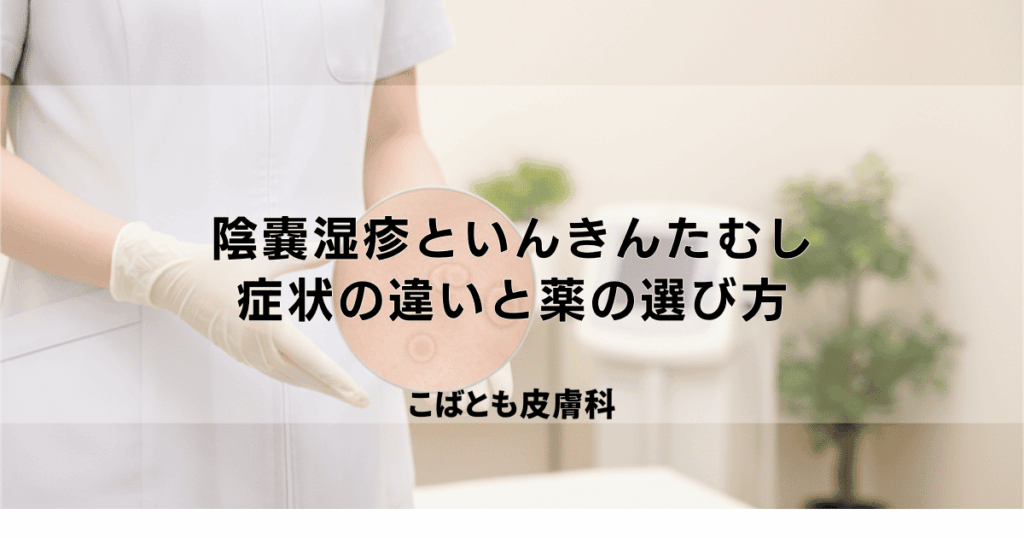 陰嚢湿疹と、いんきんたむしの見分け方｜症状の違いと正しい薬の選び方