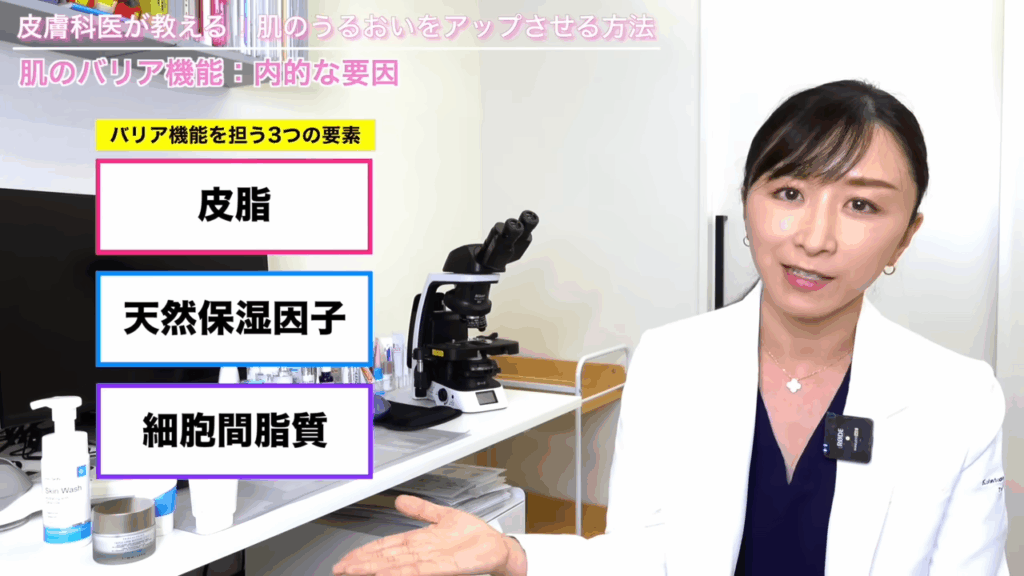 バリア機能を担う3つの要素「皮脂」「天然保湿因子」「細胞間脂質」