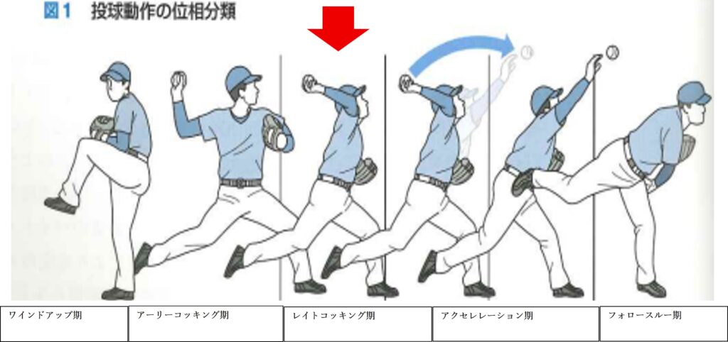 投球動作の位相分類