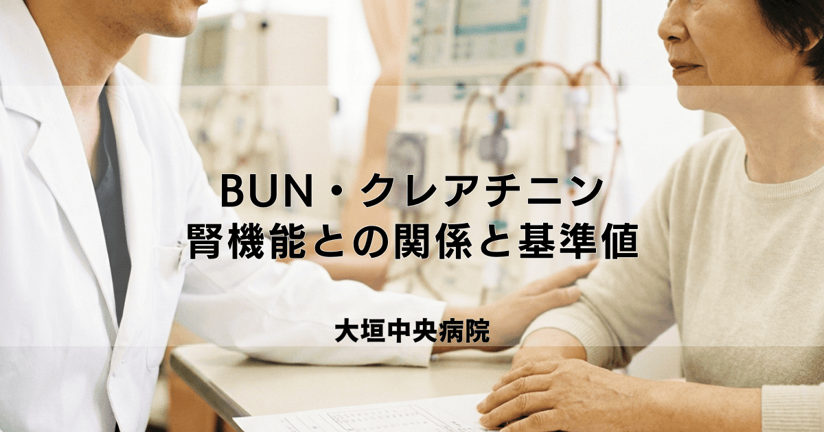 血液検査のBUN・クレアチニンとは?腎機能との関係と基準値
