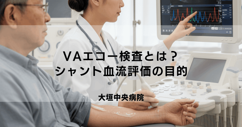 VA（バスキュラーアクセス）エコー検査とは？シャント血流評価の目的と流れ