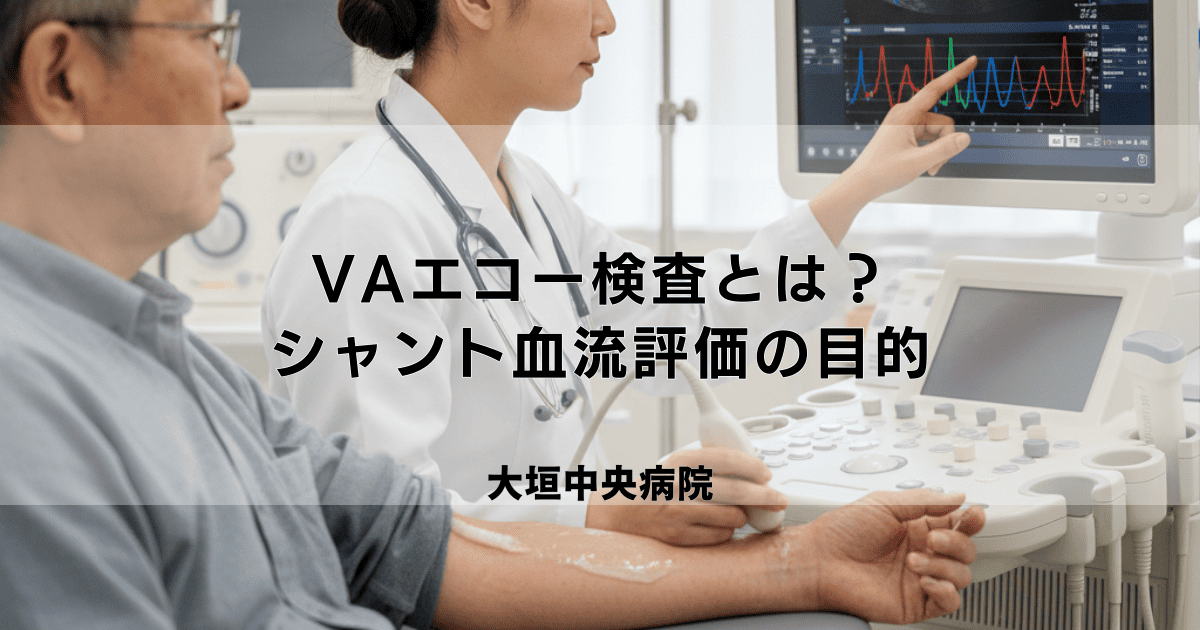 VA(バスキュラーアクセス)エコー検査とは?シャント血流評価の目的と流れ