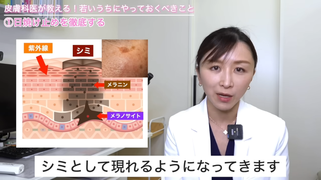 紫外線を浴びてから、シミとして現れるまでの過程