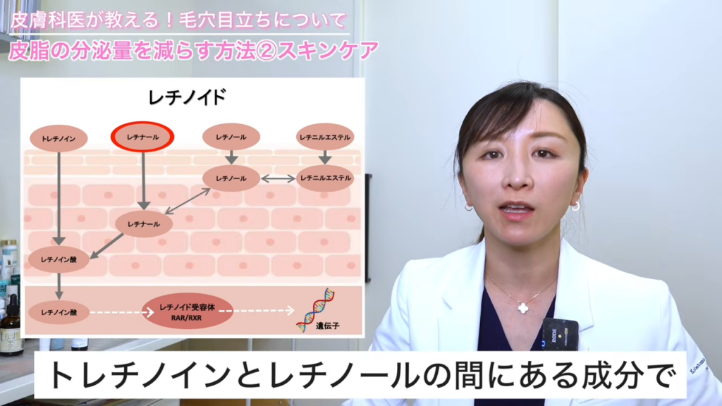 レチナールの位置づけ