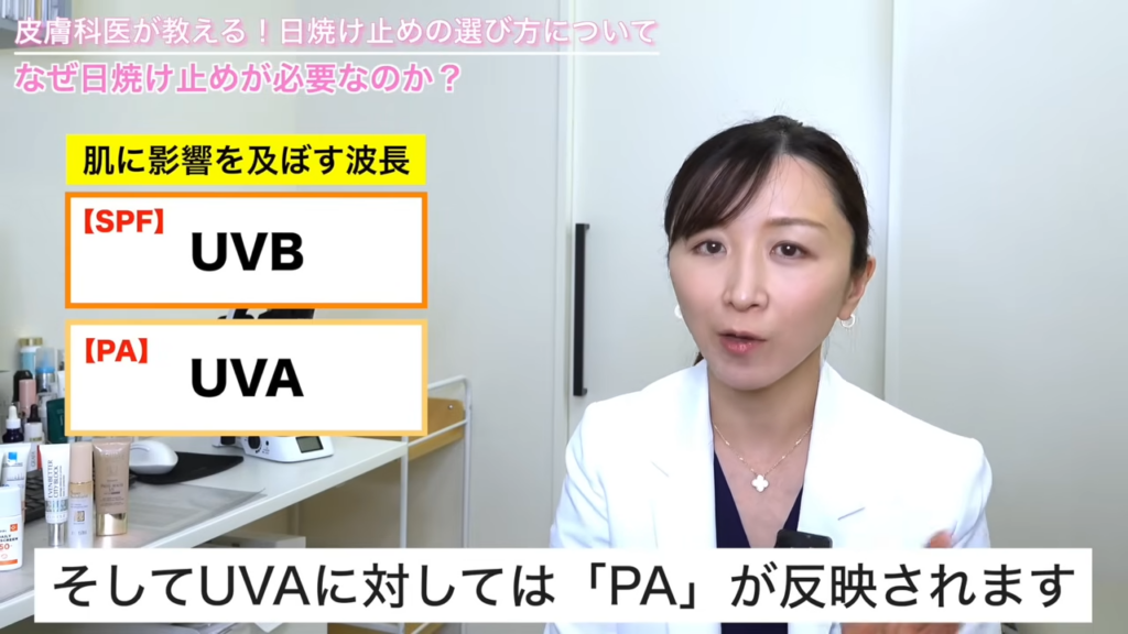 肌に影響を及ぼす波長とカット指標