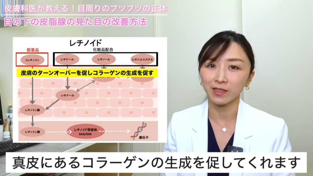 レチノイド 解説図