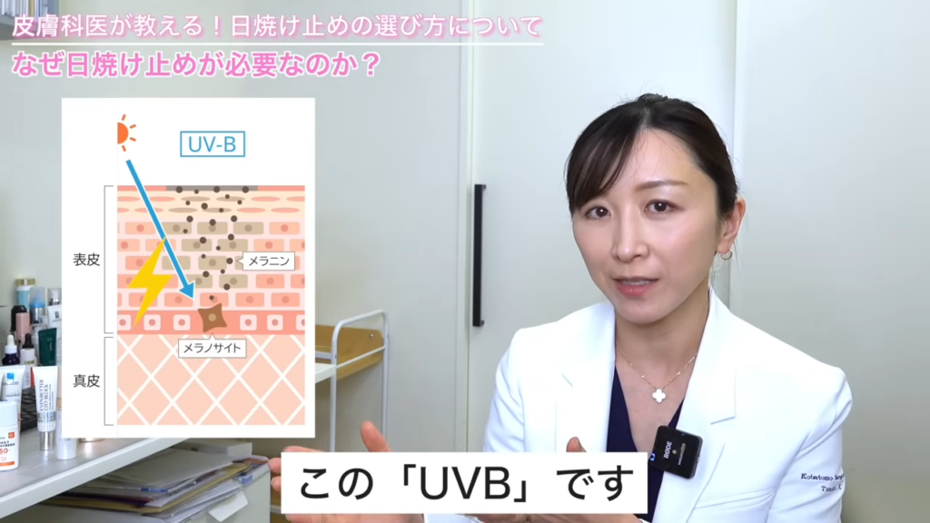 UVBの解説図