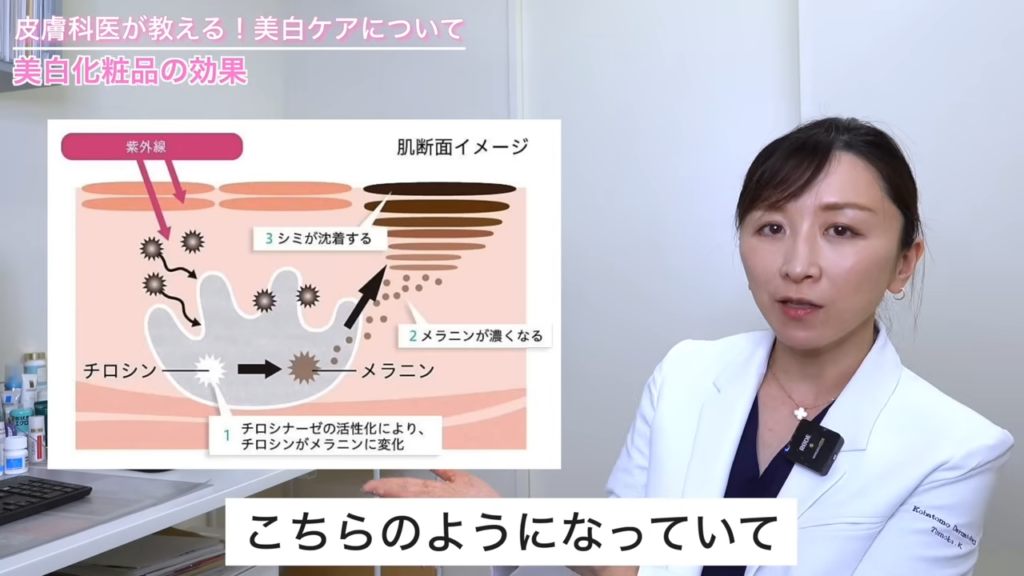 シミの原因であるメラニンが作られるメカニズム
