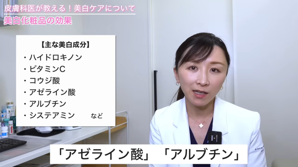 主な美白成分