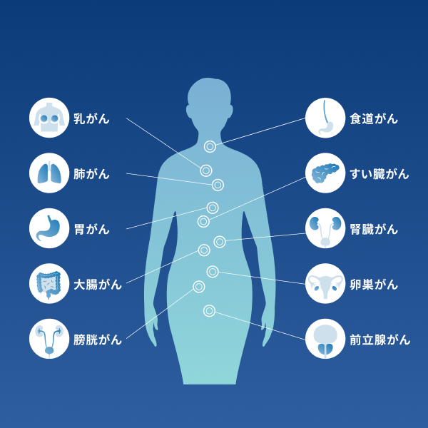 がん種人体図