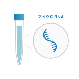マイクロRNAのイメージ画像