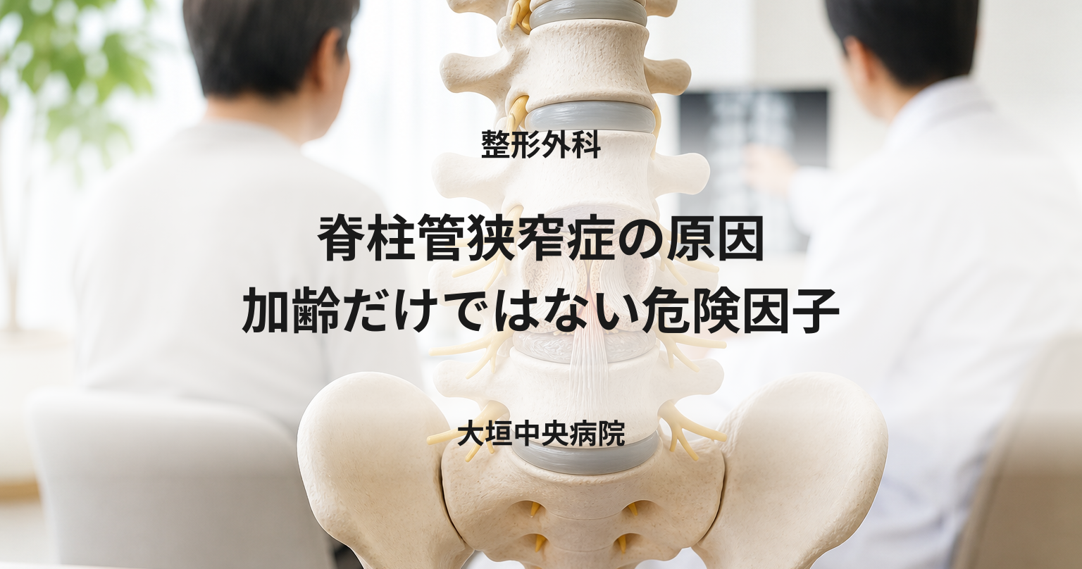 腰椎模型を前に脊柱管狭窄症の原因を説明する整形外科診察室のイメージ