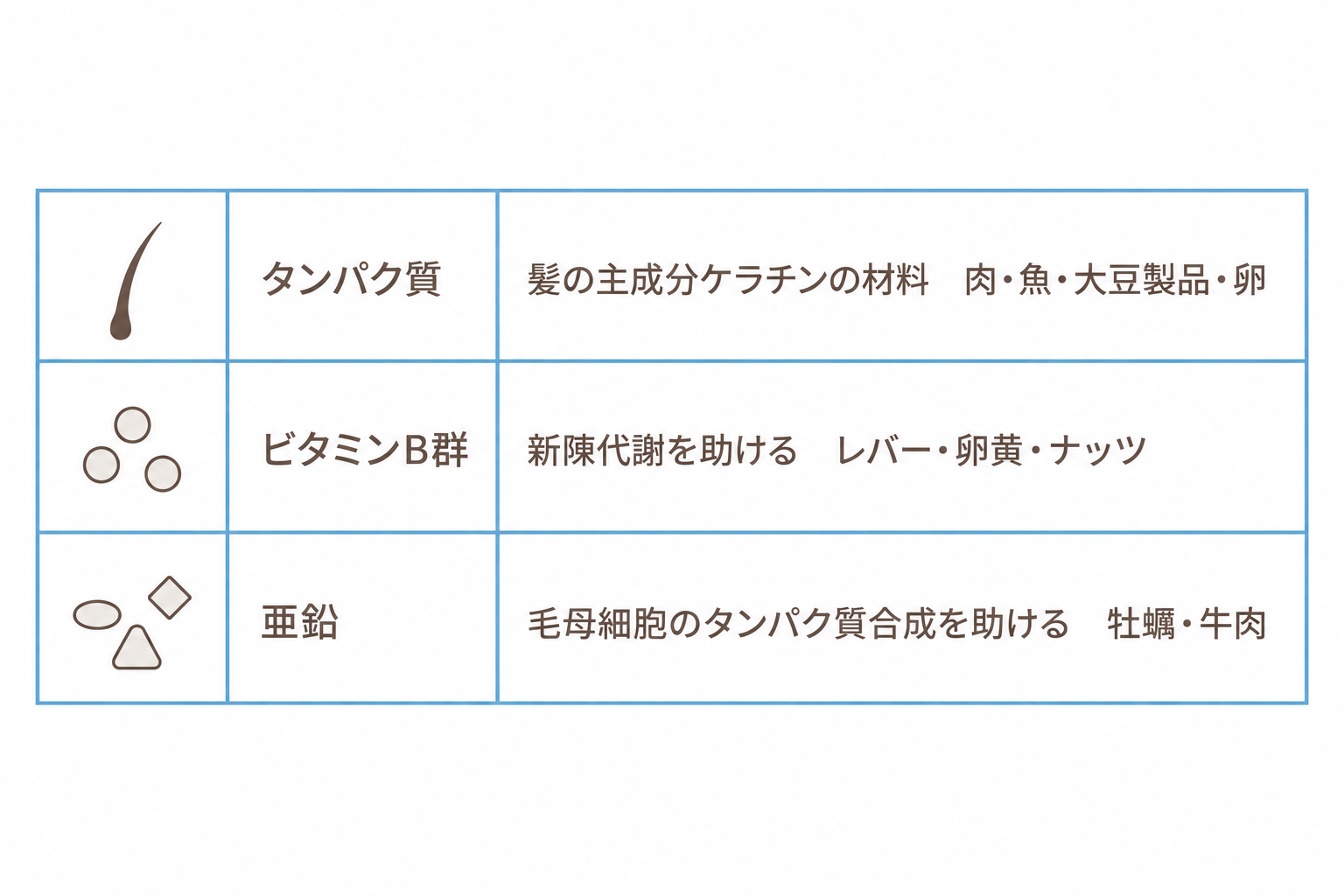 髪の成長を支える栄養素。タンパク質・ビタミンB群・亜鉛