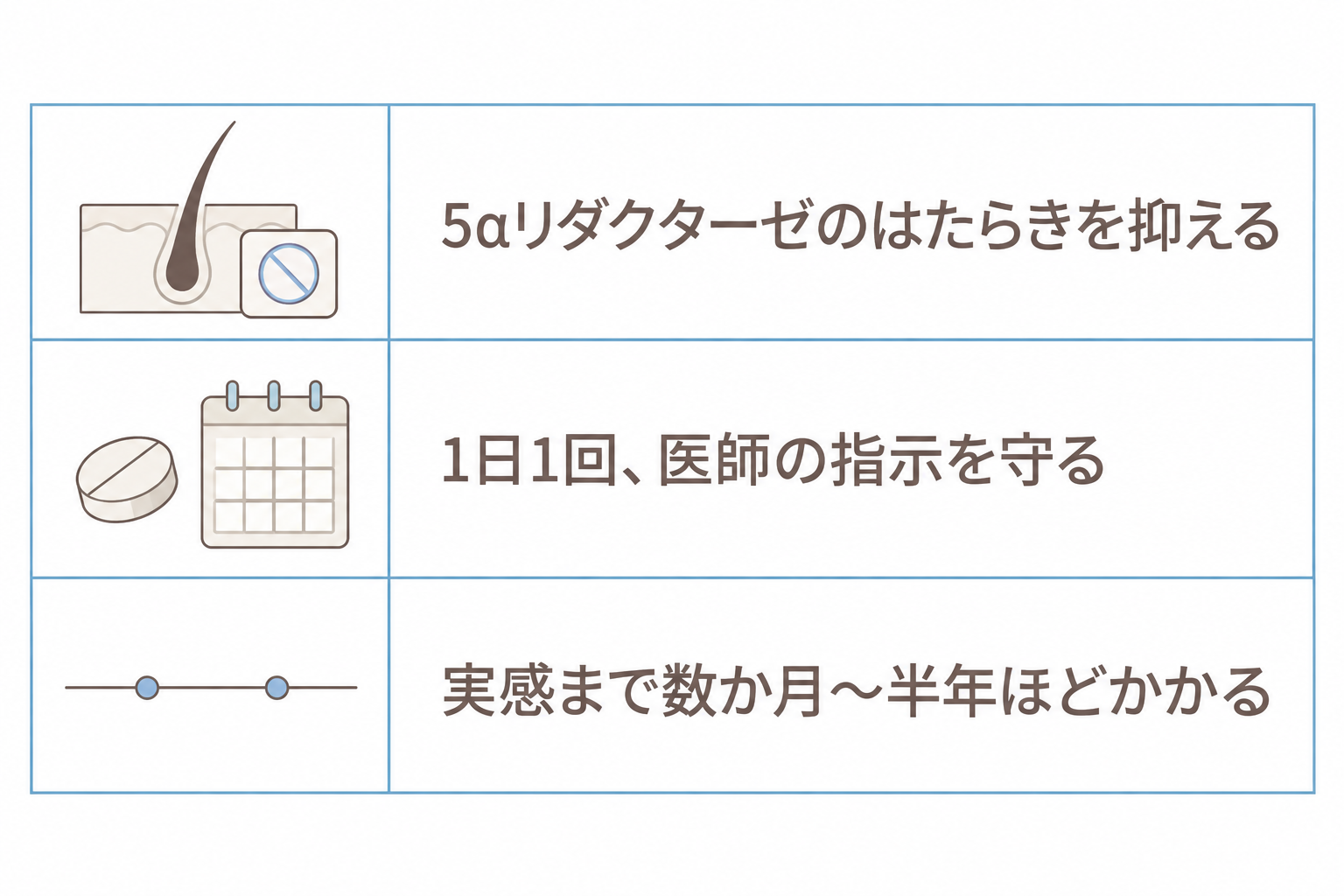 内服薬は5αリダクターゼのはたらきを抑える。1日1回、医師の指示を守って続ける
