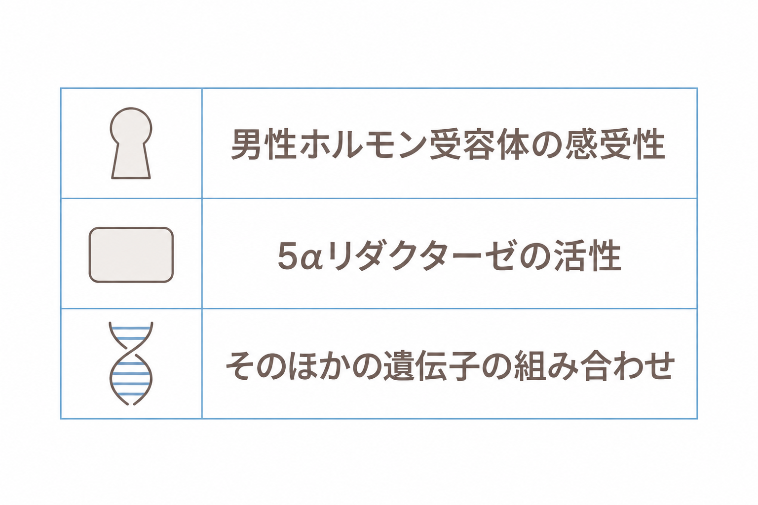 AGAに関わる主な遺伝的要因