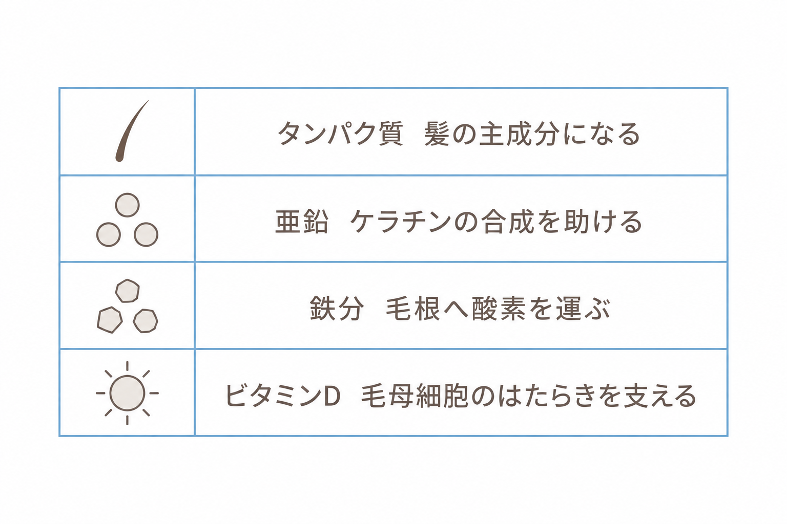 髪の成長を支える栄養素。タンパク質・亜鉛・鉄分・ビタミンD