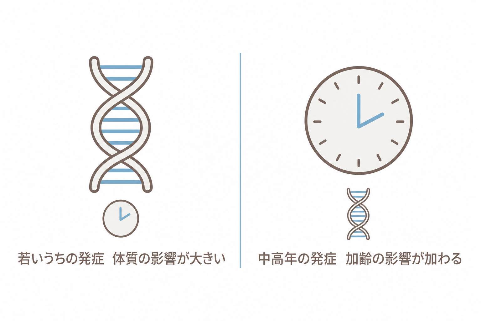 若いうちの発症は体質、中高年の発症は加齢の影響が加わる