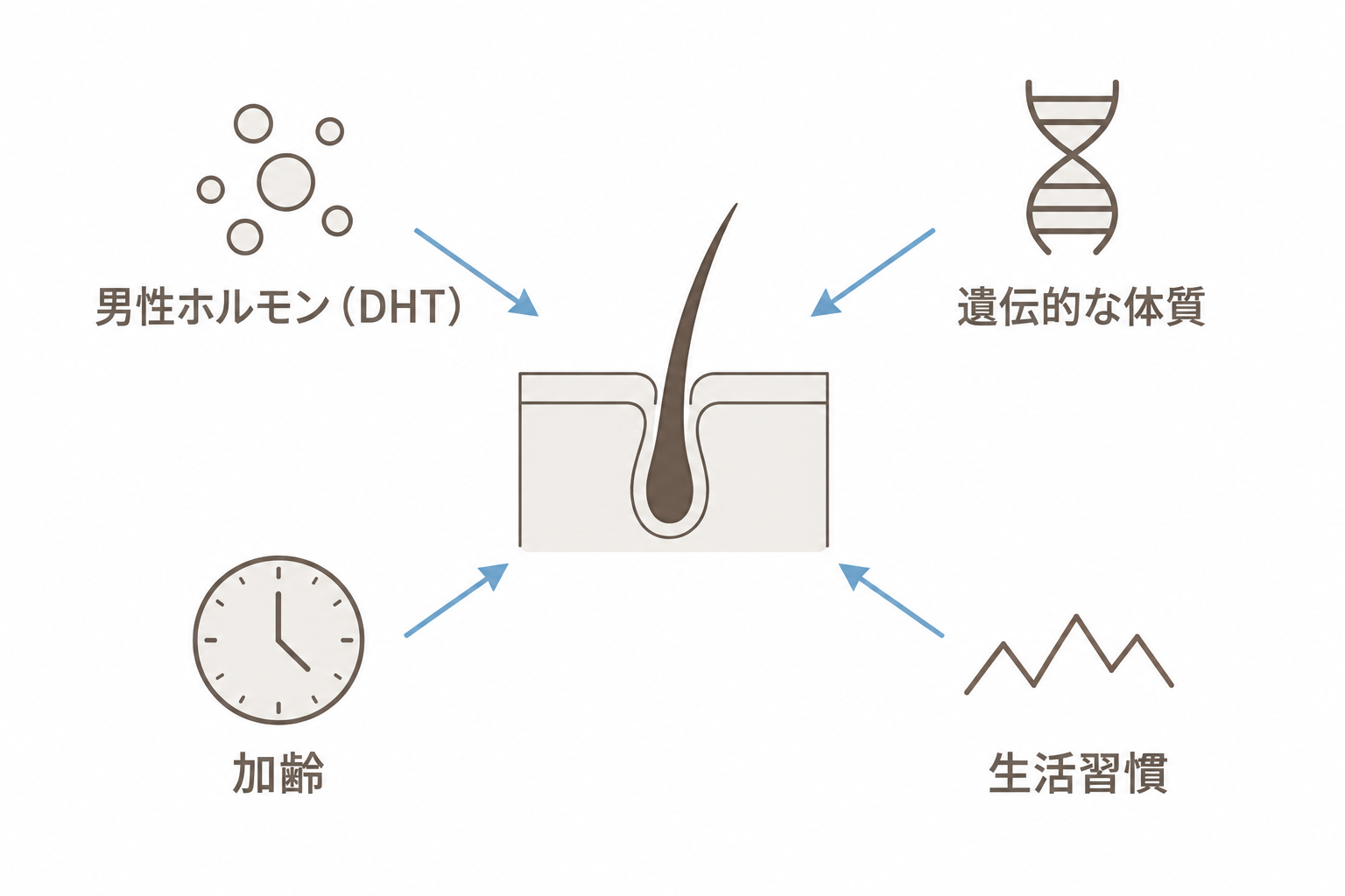 AGAの原因。男性ホルモン・遺伝的な体質・加齢・生活習慣