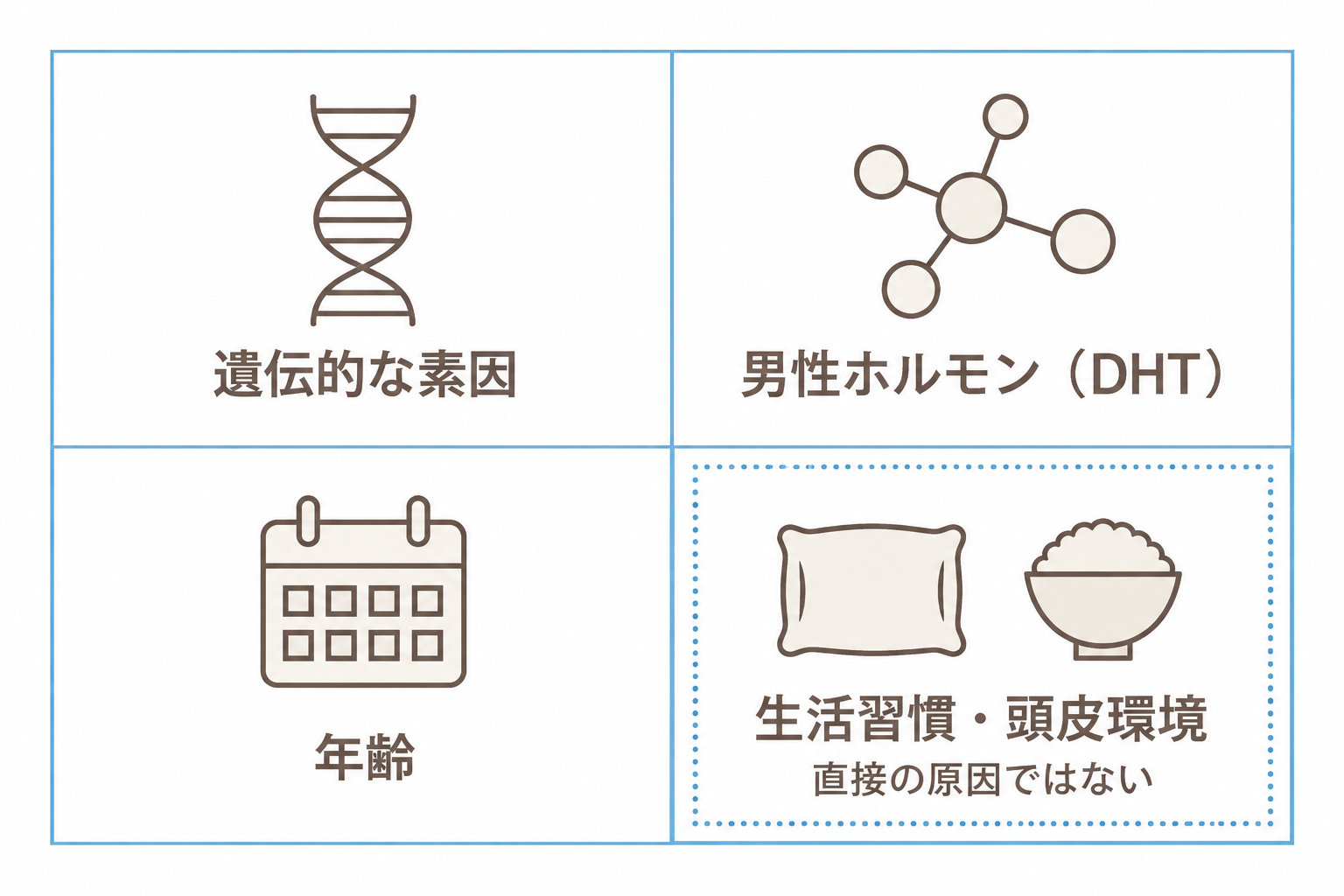 AGAの進行に関わる要因。遺伝的な素因、男性ホルモン(DHT)、年齢。生活習慣や頭皮環境は直接の原因ではない