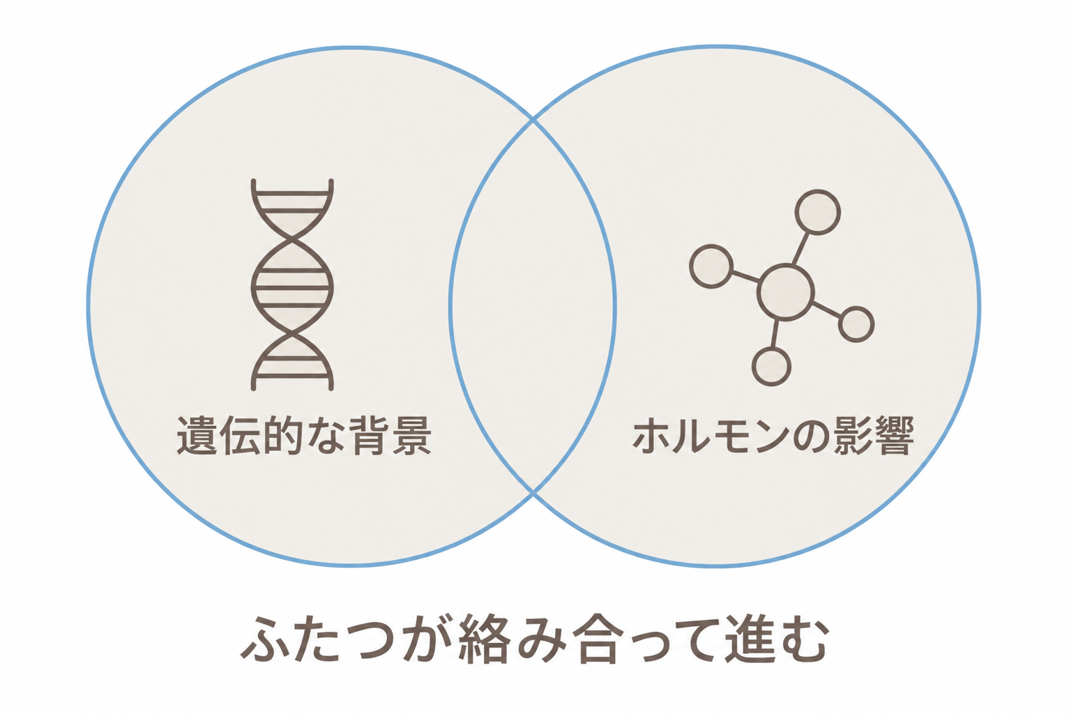 遺伝的な背景とホルモンの影響が絡み合ってAGAが進む