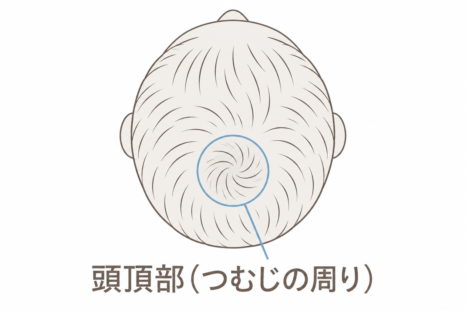 頭頂部(つむじの周り)の位置