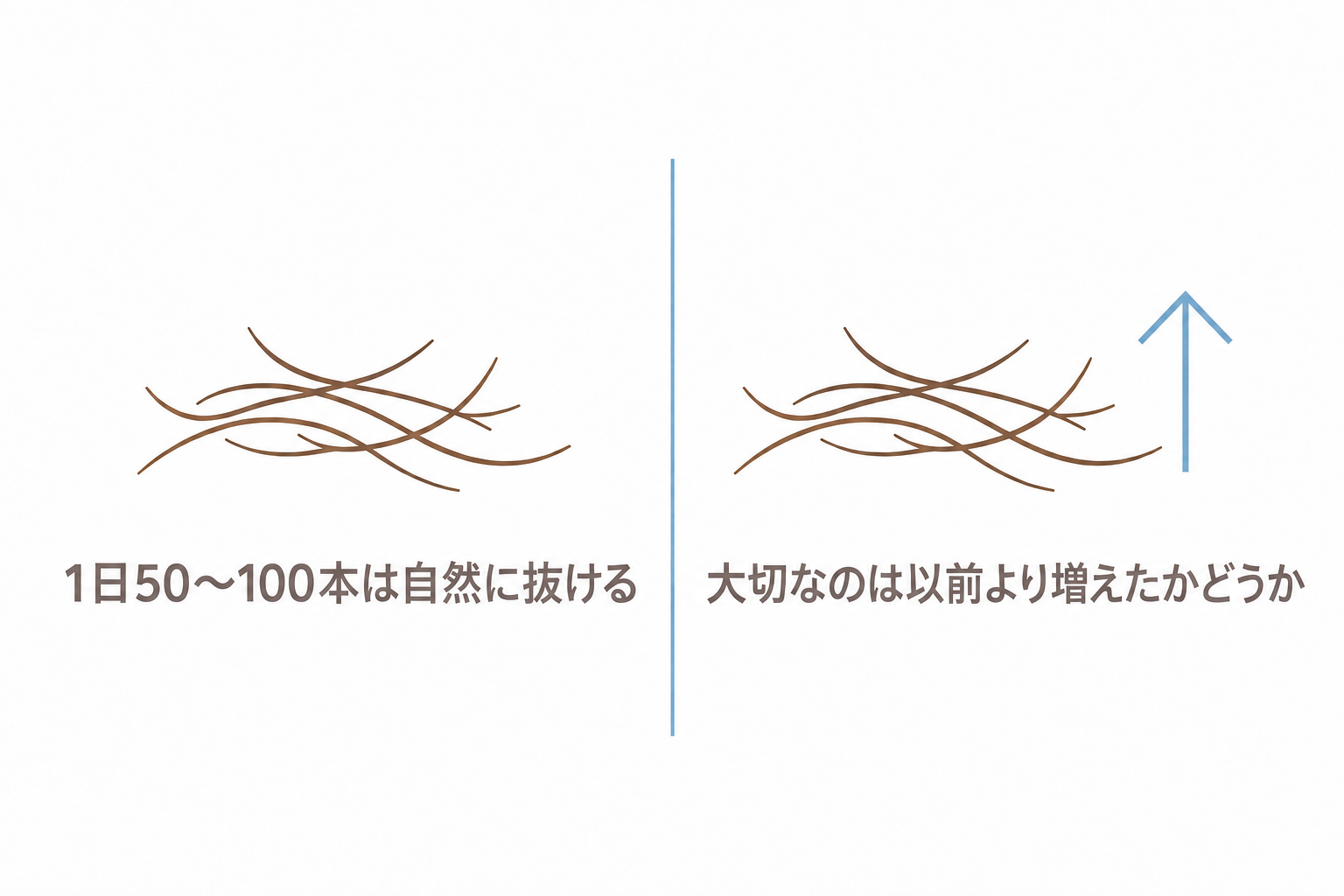 1日50〜100本は自然に抜ける。大切なのは以前より増えたかどうか