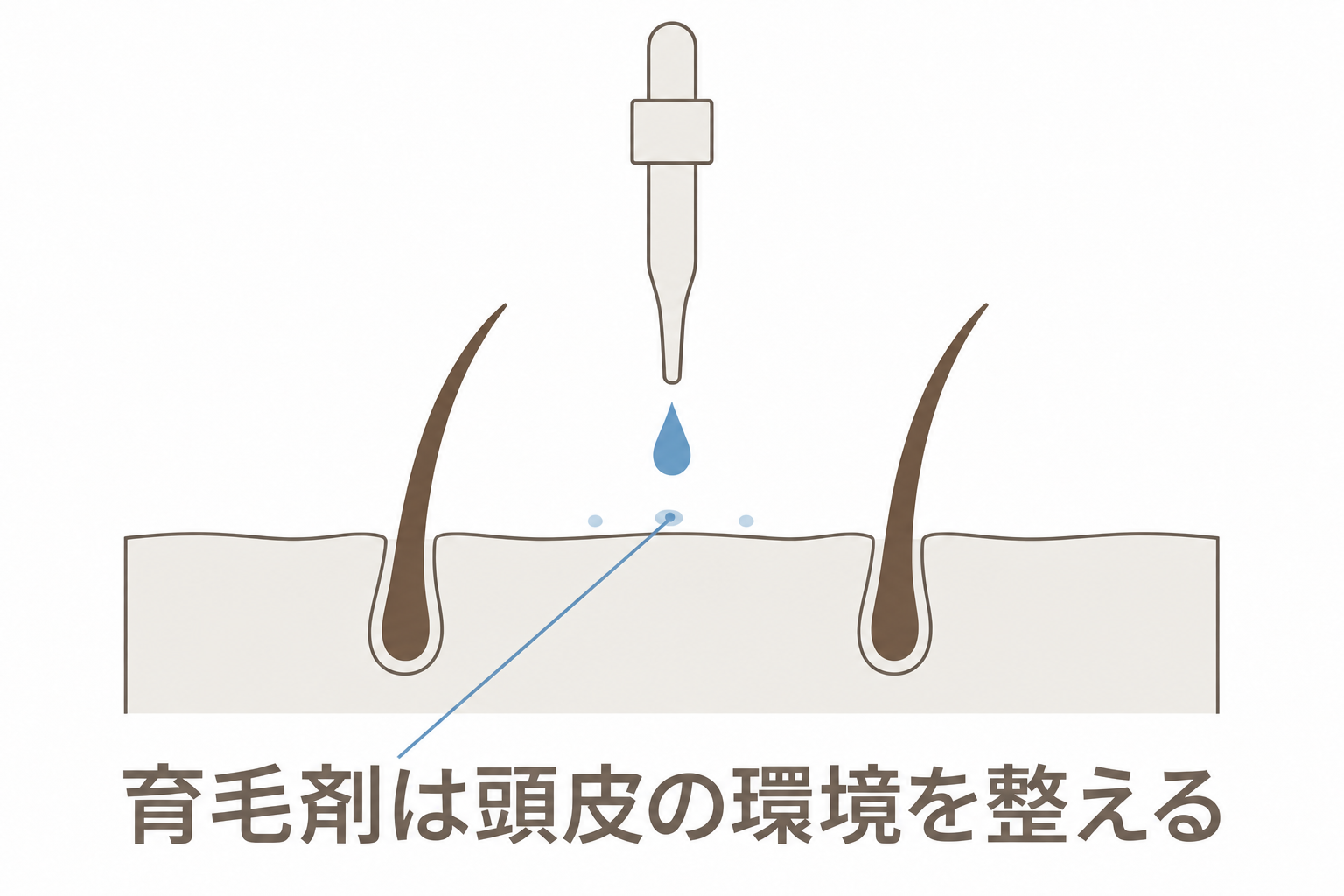 育毛剤は頭皮の環境を整える