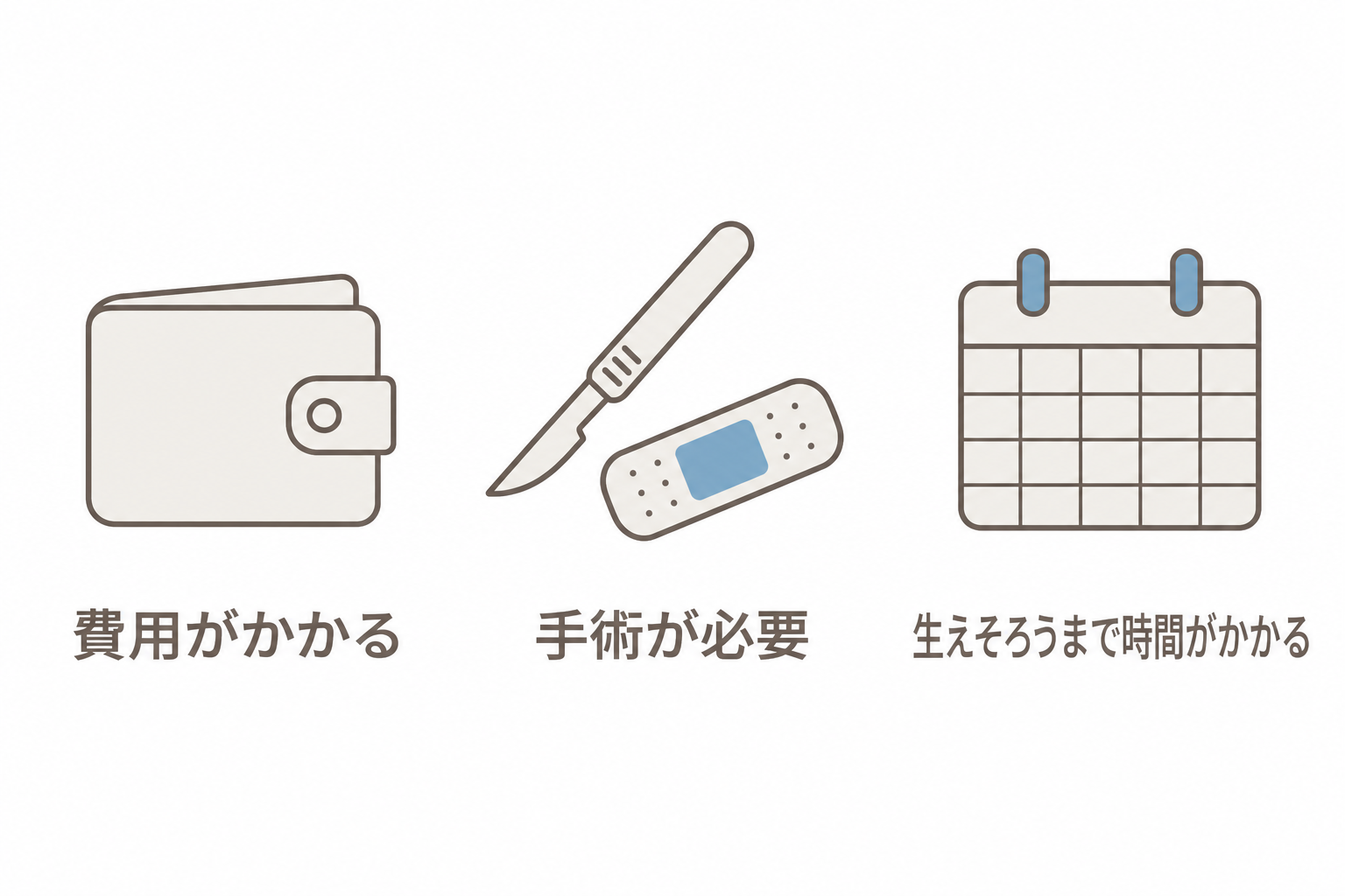 自毛植毛の主な負担