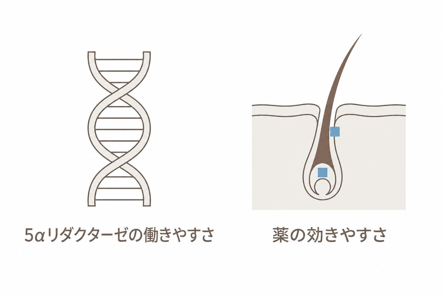 遺伝子検査で分かること
