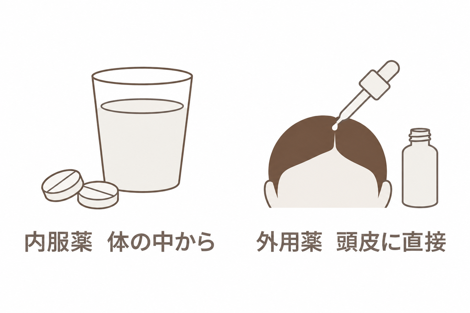 内服薬は体の中から、外用薬は頭皮に直接はたらく