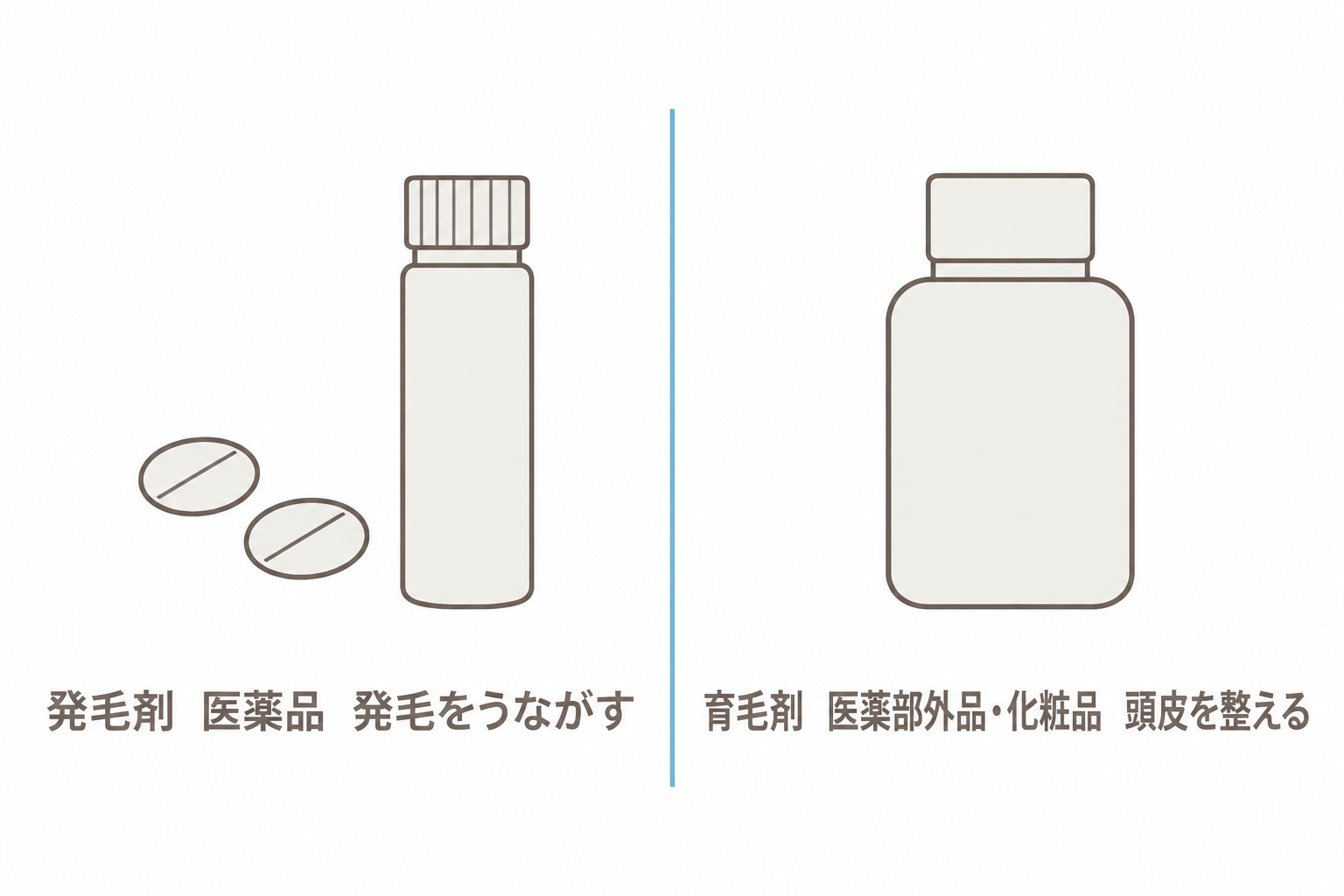 発毛剤と育毛剤の違い
