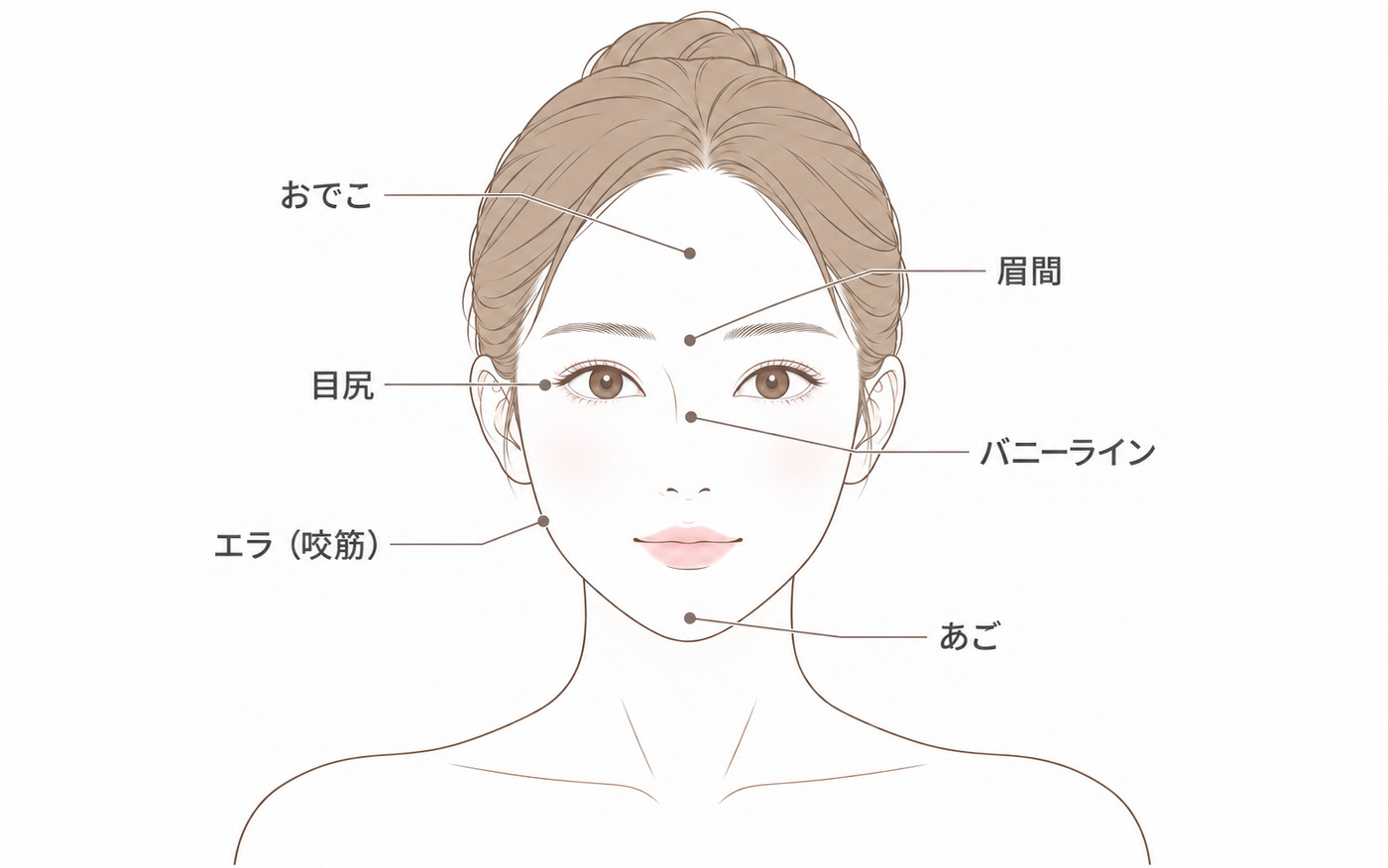 ボトックスの注入箇所（顔）
